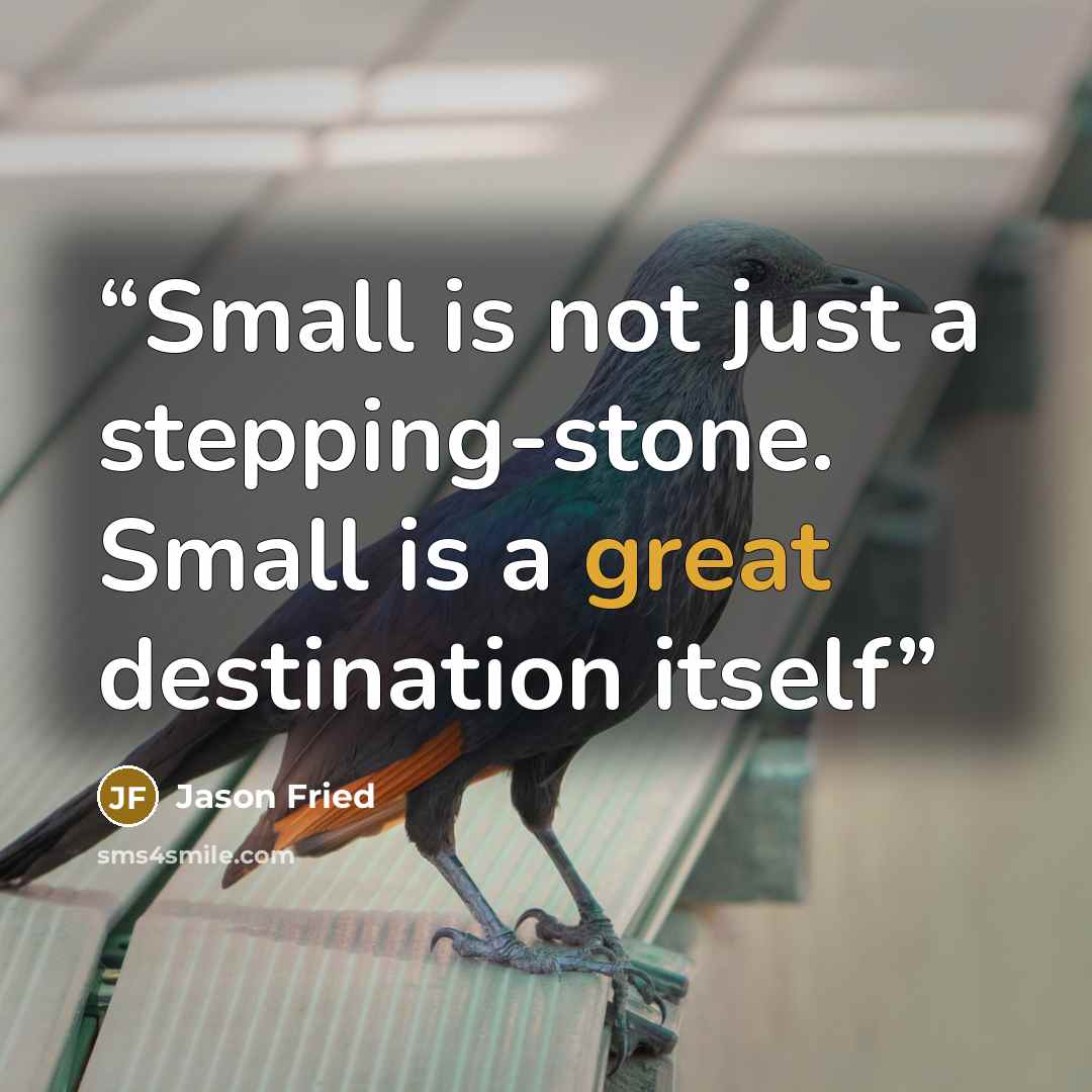 “Small is not just a stepping-stone. Small is a great destination itself” quote by Jason Fried