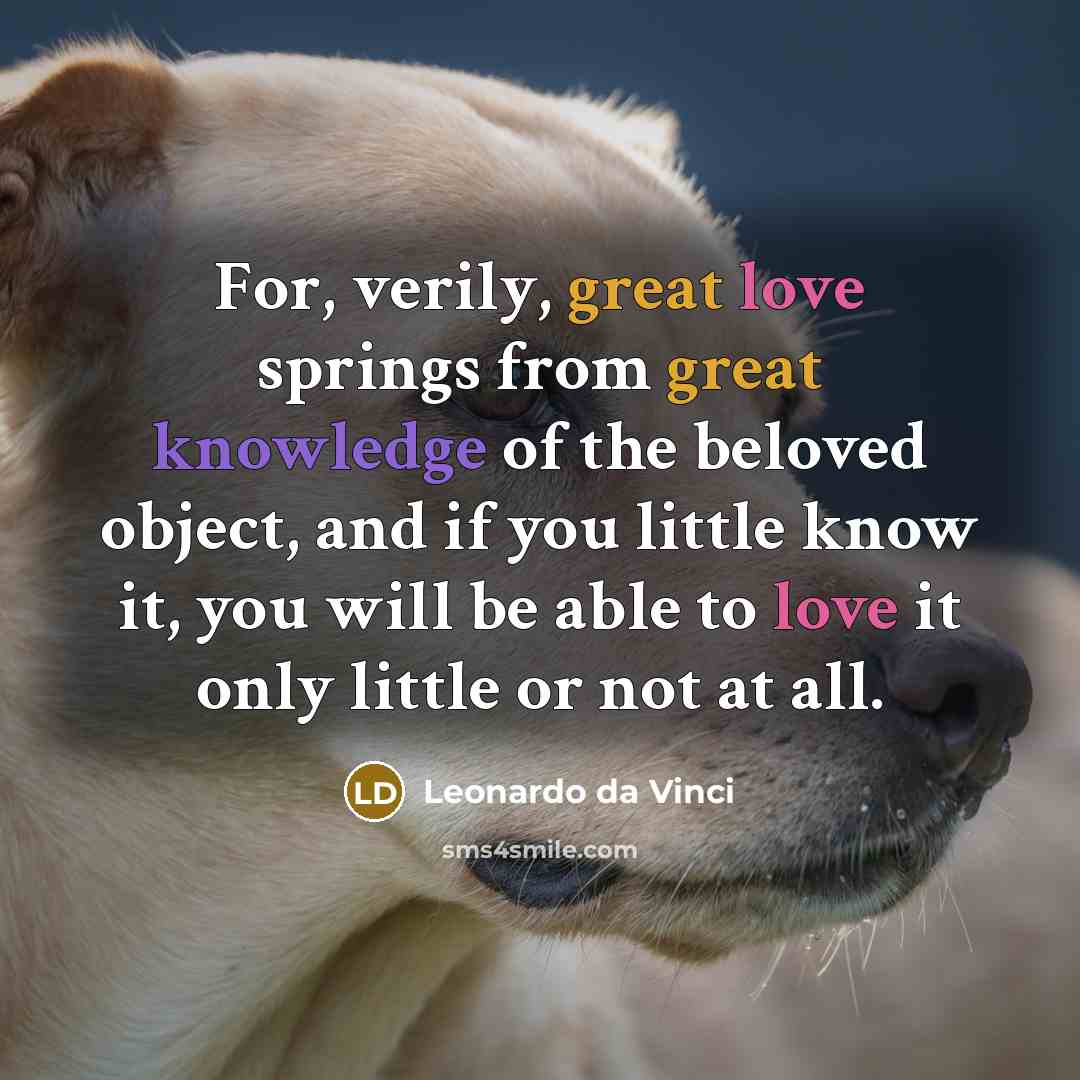 “For, verily, great love springs from great knowledge of the beloved object, and if you little know it, you will be able to love it only little or not at all.” quote by Leonardo da Vinci