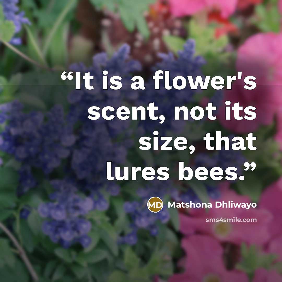 “It is a flower's scent, not its size, that lures bees.” quote by Matshona Dhliwayo