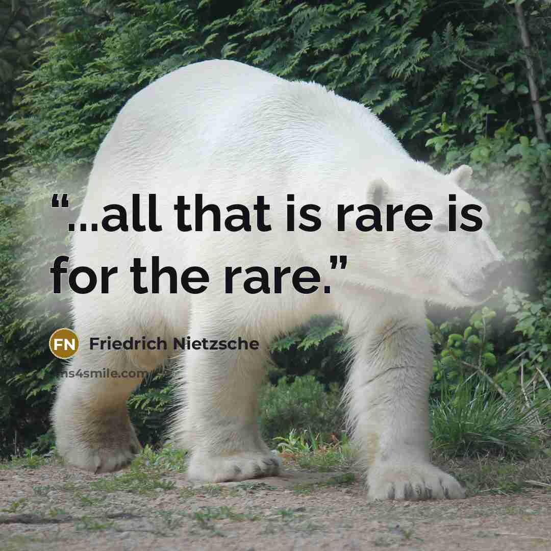 “...all that is rare is for the rare.” quote by Friedrich Nietzsche