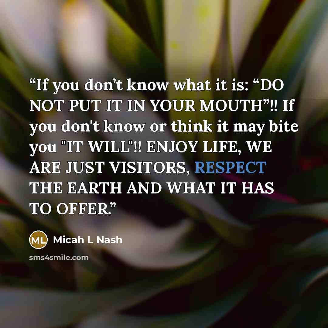“If you don’t know what it is: “DO NOT PUT IT IN YOUR MOUTH”!! If you don't know or think it may bite you "IT WILL"!! ENJOY LIFE, WE ARE JUST VISITORS, RESPECT THE EARTH AND WHAT IT HAS TO OFFER.” quote by Micah L Nash