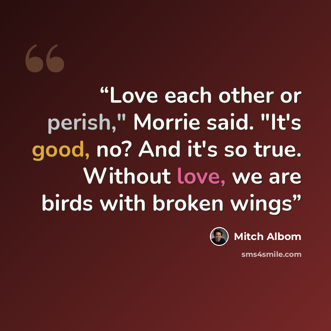 “Love each other or perish," Morrie said. "It's good, no? And it's so true. Without love, we are birds with broken wings” quote by Mitch Albom
