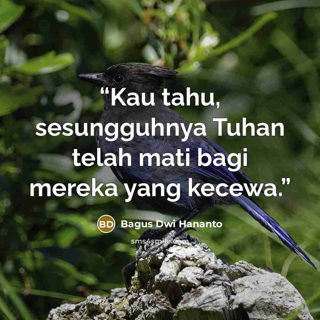 “Kau tahu, sesungguhnya Tuhan telah mati bagi mereka yang kecewa.” quote by Bagus Dwi Hananto