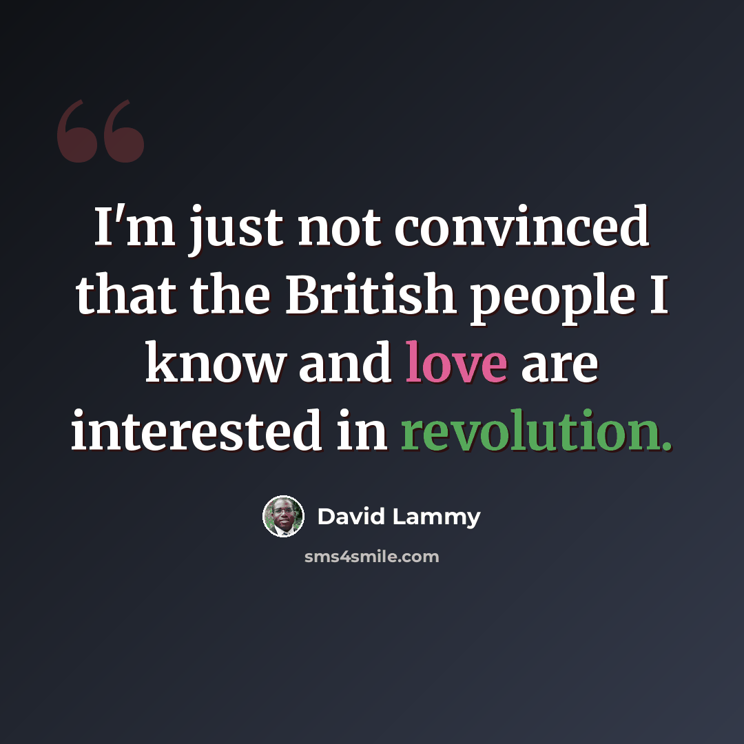 “I'm just not convinced that the British people I know and love are interested in revolution.” quote by David Lammy