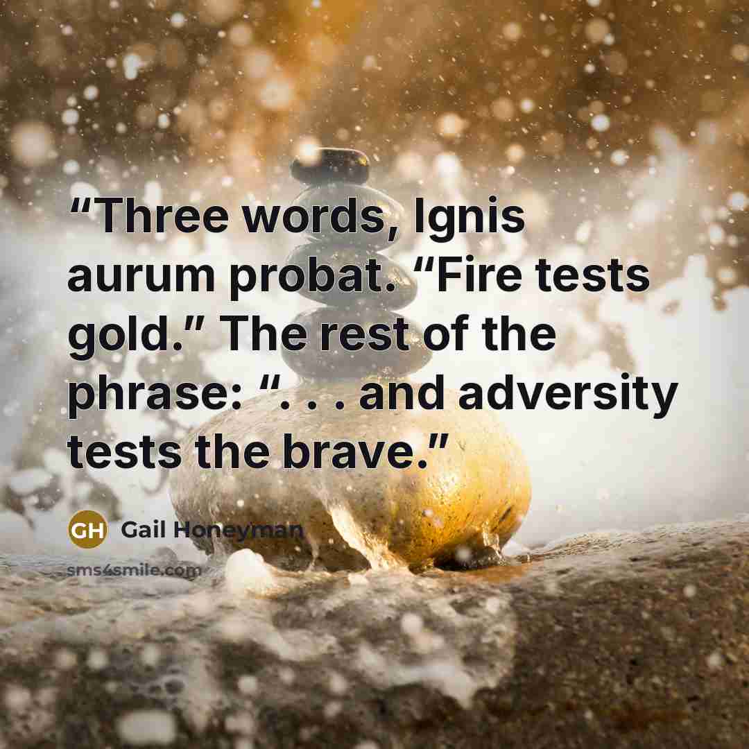 “Three words, Ignis aurum probat. “Fire tests gold.” The rest of the phrase: “. . . and adversity tests the brave.” quote by Gail Honeyman