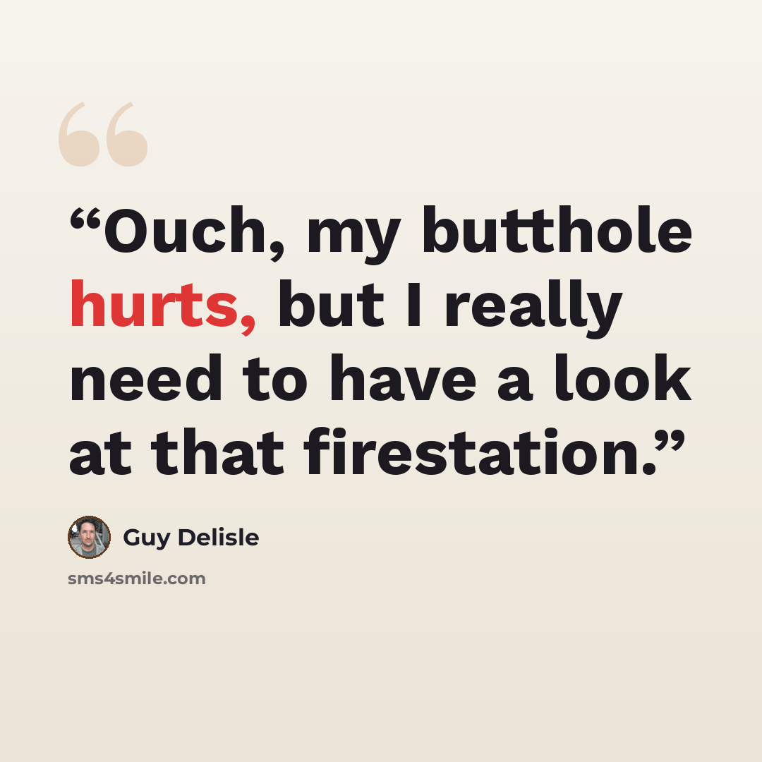 “Ouch, my butthole hurts, but I really need to have a look at that firestation.” quote by Guy Delisle