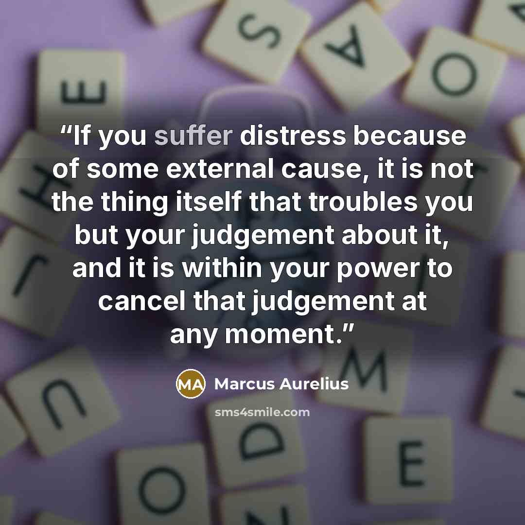 “If you suffer distress because of some external cause, it is not the thing itself that troubles you but your judgement about it, and it is within your power to cancel that judgement at any moment.” quote by Marcus Aurelius