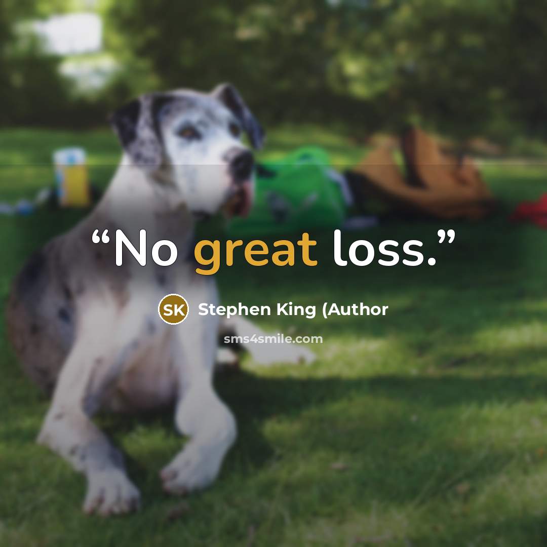 “No great loss.” quote by Stephen King (Author