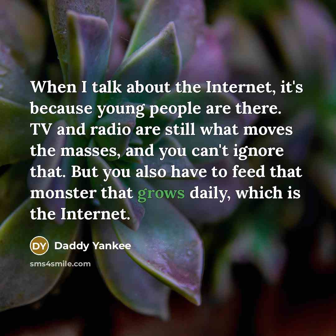 “When I talk about the Internet, it's because young people are there. TV and radio are still what moves the masses, and you can't ignore that. But you also have to feed that monster that grows daily, which is the Internet.” quote by Daddy Yankee