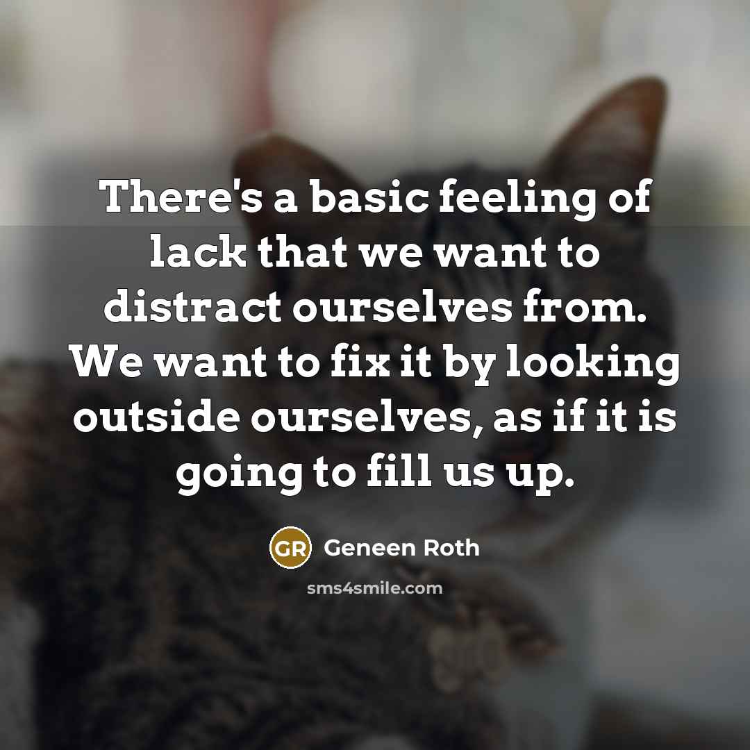 “There's a basic feeling of lack that we want to distract ourselves from. We want to fix it by looking outside ourselves, as if it is going to fill us up.” quote by Geneen Roth