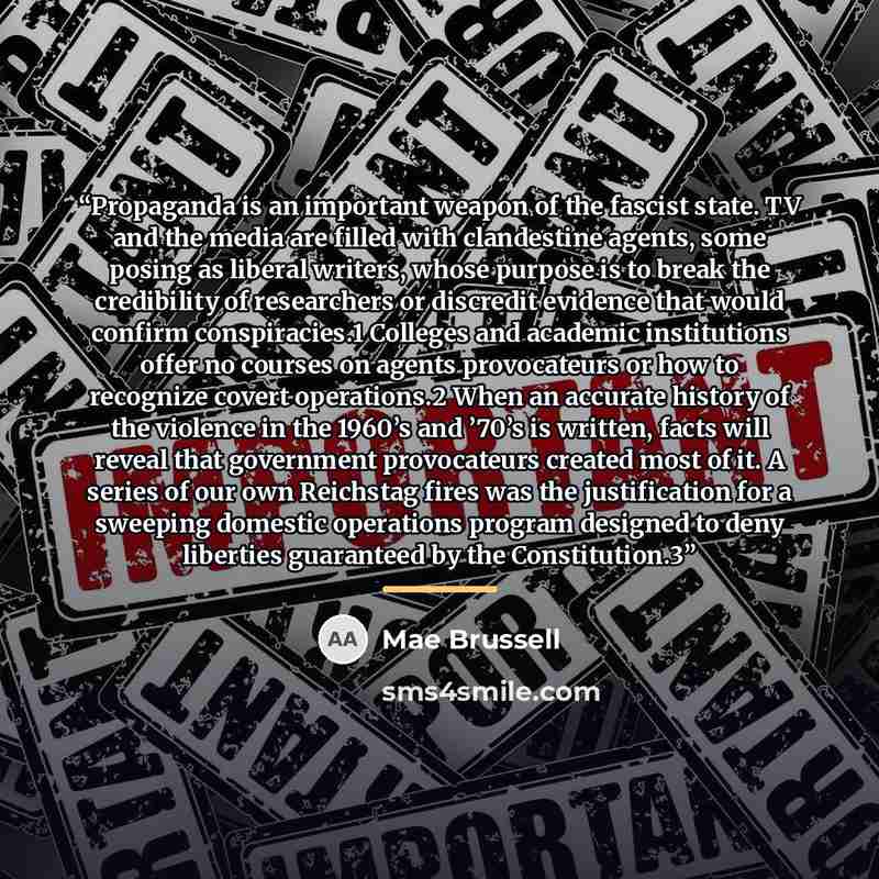 “Propaganda is an important weapon of the fascist state. TV and the media are filled with clandestine agents, some posing as liberal writers, whose purpose is to break the credibility of researchers or discredit evidence that would confirm conspiracies.1 Colleges and academic institutions offer no…” quote by Mae Brussell