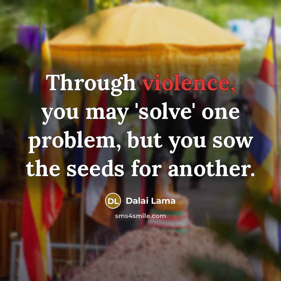 “Through violence, you may 'solve' one problem, but you sow the seeds for another.” quote by Dalai Lama
