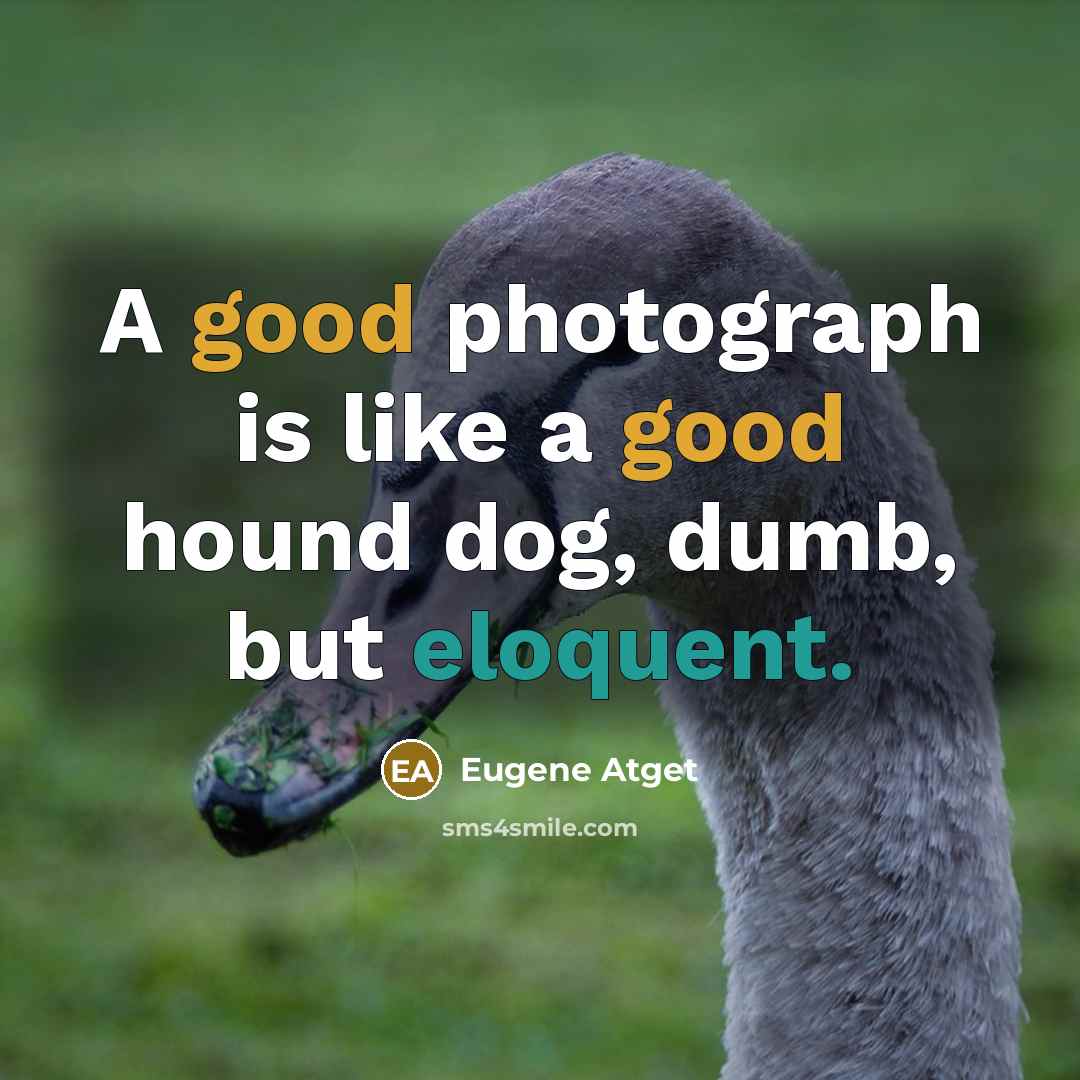 “A good photograph is like a good hound dog, dumb, but eloquent.” quote by Eugene Atget