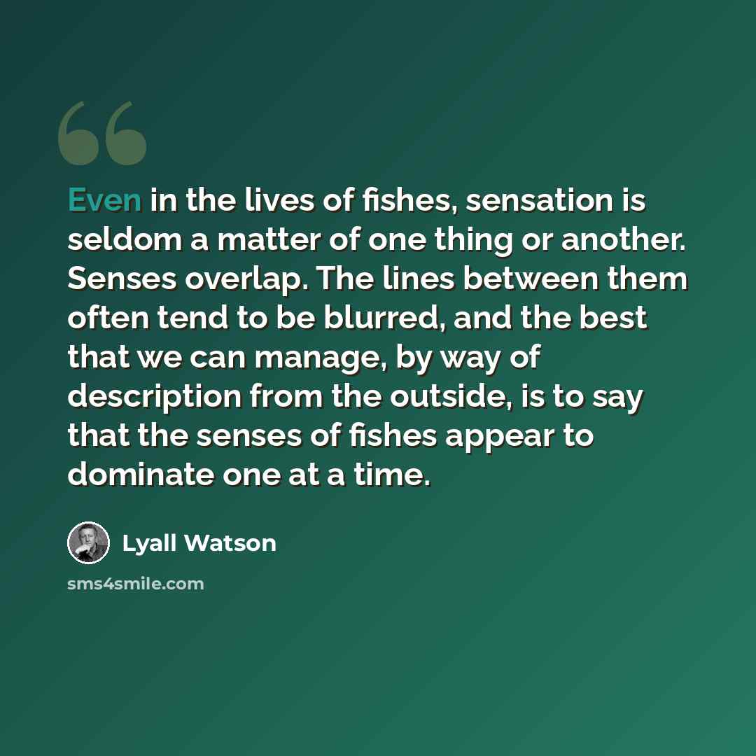 “Even in the lives of fishes, sensation is seldom a matter of one thing or another. Senses overlap. The lines between them often tend to be blurred, and the best that we can manage, by way of description from the outside, is to say that the senses of fishes appear to dominate one at a time.” quote by Lyall Watson