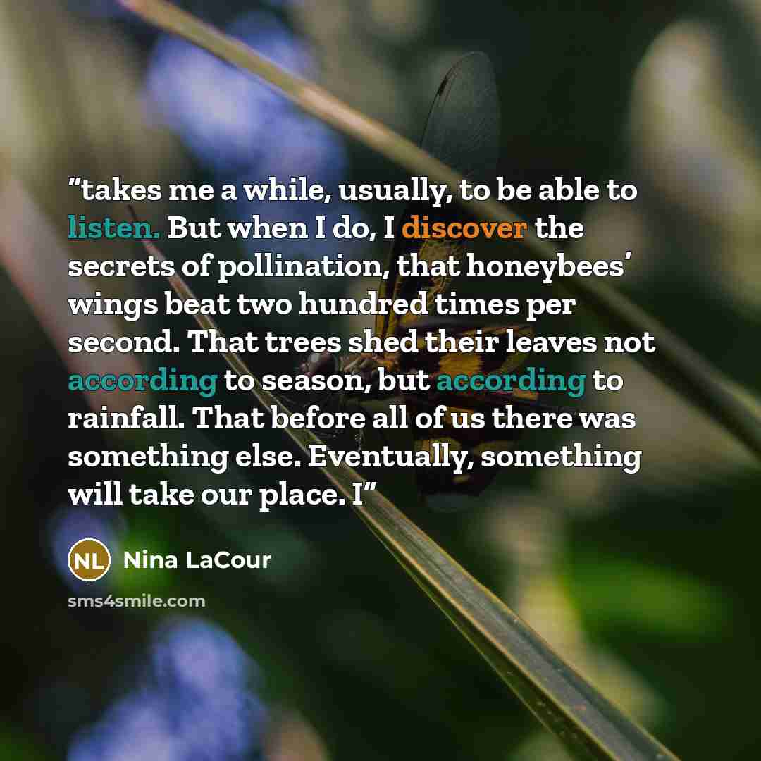 “takes me a while, usually, to be able to listen. But when I do, I discover the secrets of pollination, that honeybees’ wings beat two hundred times per second. That trees shed their leaves not according to season, but according to rainfall. That before all of us there was something else…” quote by Nina LaCour