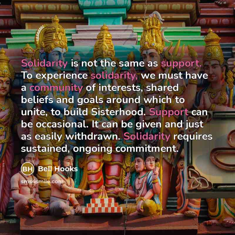 “Solidarity is not the same as support. To experience solidarity, we must have a community of interests, shared beliefs and goals around which to unite, to build Sisterhood. Support can be occasional. It can be given and just as easily withdrawn. Solidarity requires sustained, ongoing commitment.” quote by Bell Hooks