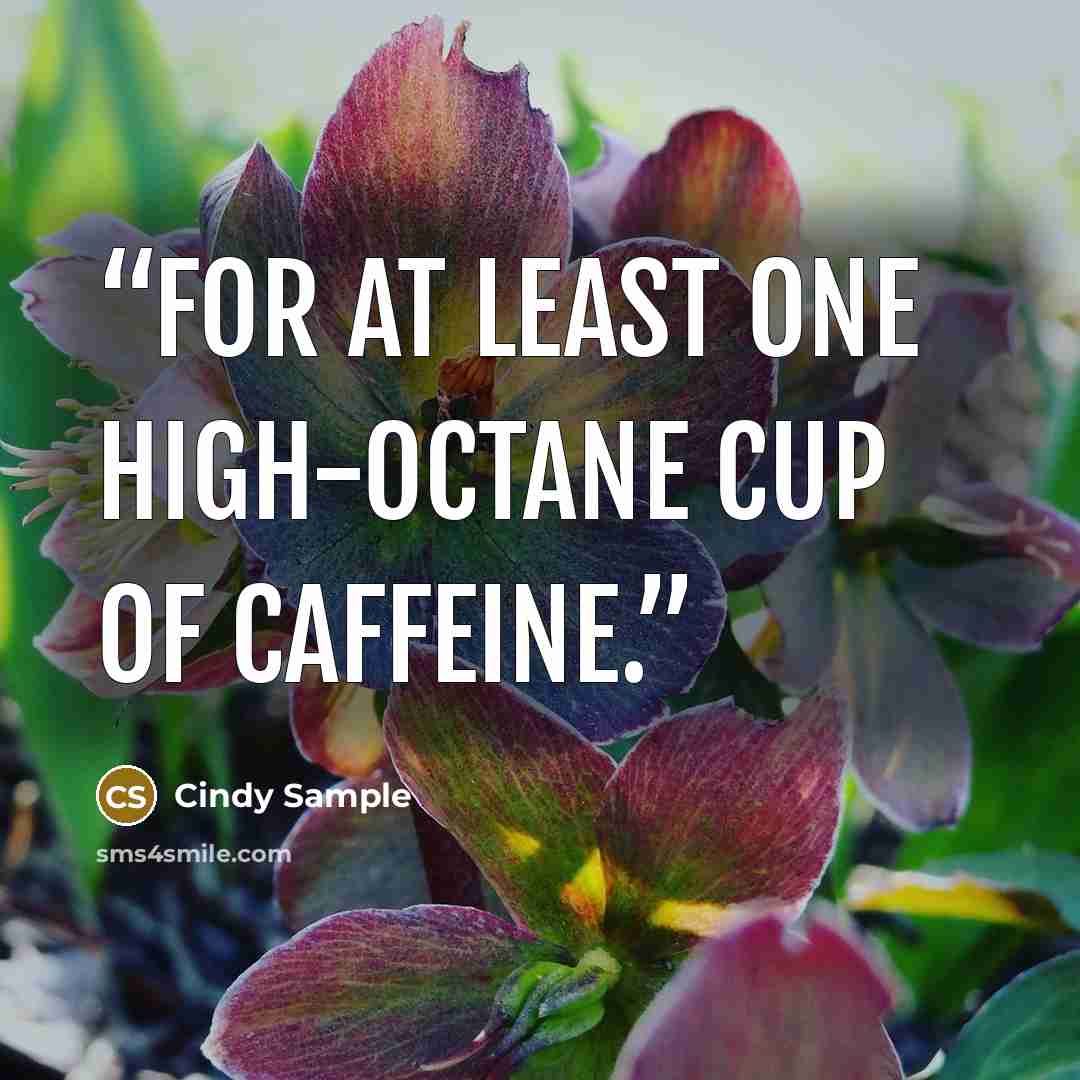 “for at least one high-octane cup of caffeine.” quote by Cindy Sample
