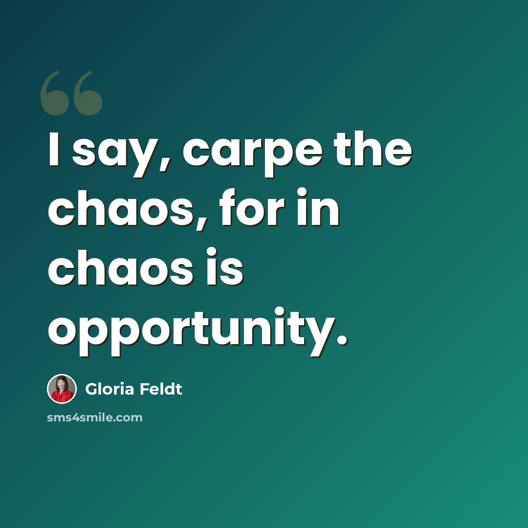 “I say, carpe the chaos, for in chaos is opportunity.” quote by Gloria Feldt