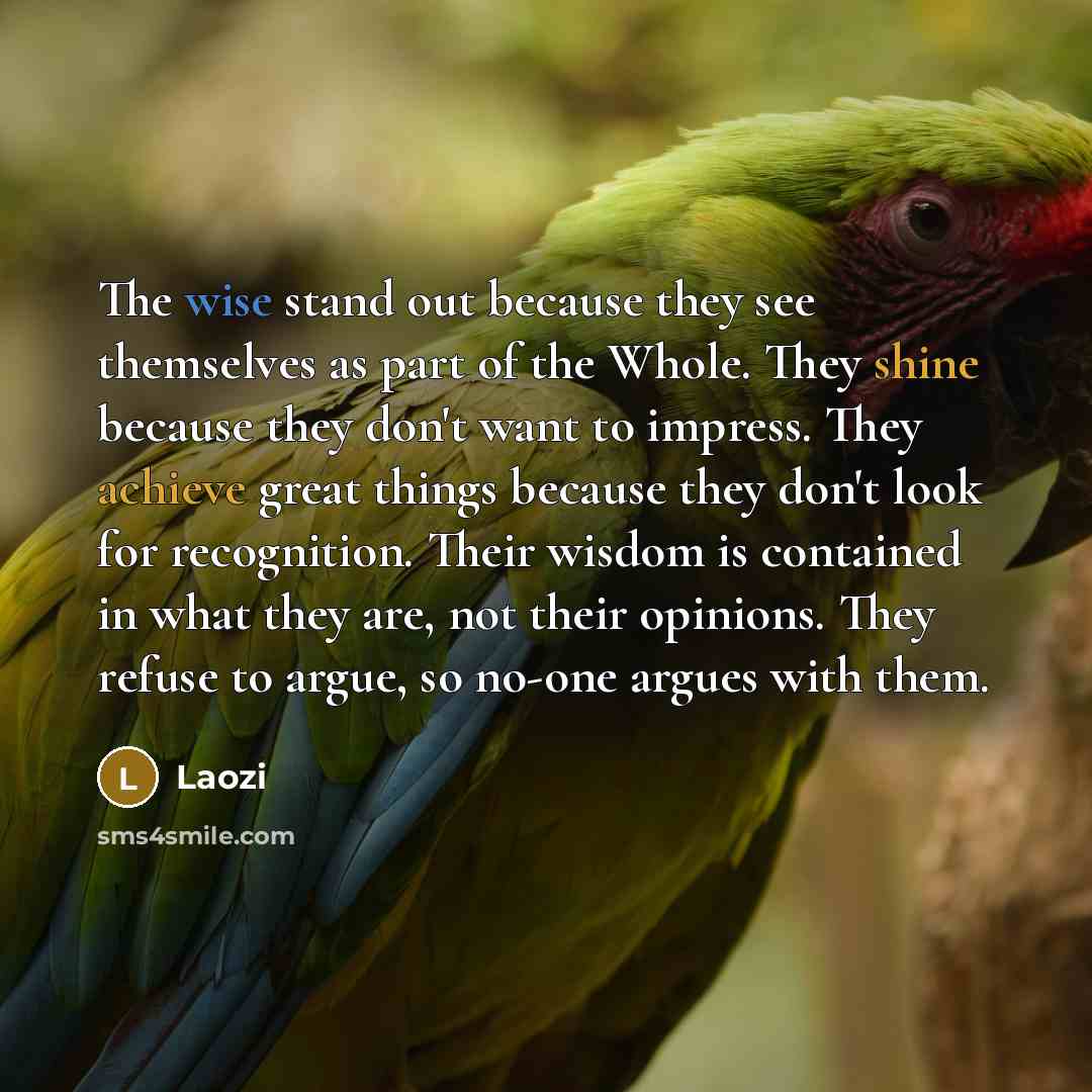 “The wise stand out because they see themselves as part of the Whole. They shine because they don't want to impress. They achieve great things because they don't look for recognition. Their wisdom is contained in what they are, not their opinions. They refuse to argue, so no-one argues with them.” quote by Laozi
