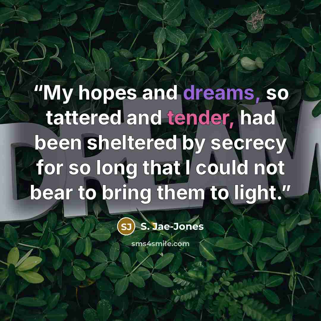 “My hopes and dreams, so tattered and tender, had been sheltered by secrecy for so long that I could not bear to bring them to light.” quote by S. Jae-Jones