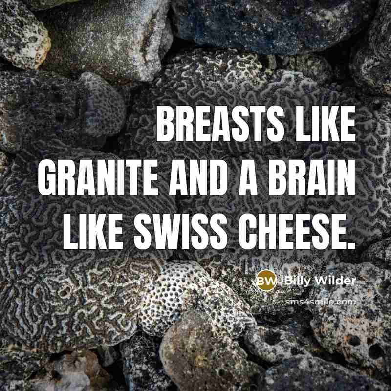 “Breasts like granite and a brain like swiss cheese.” quote by Billy Wilder