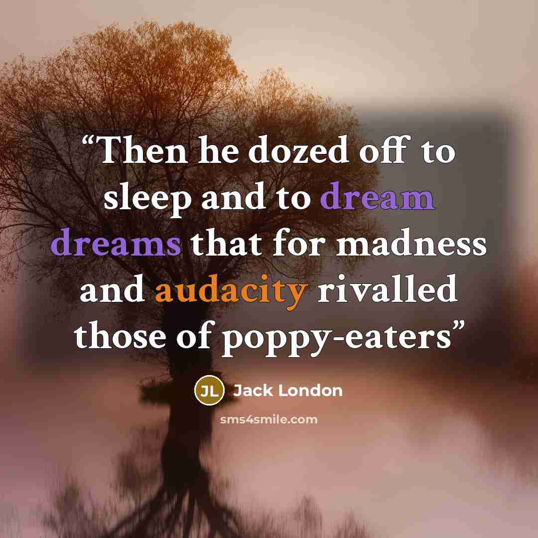 “Then he dozed off to sleep and to dream dreams that for madness and audacity rivalled those of poppy-eaters” quote by Jack London