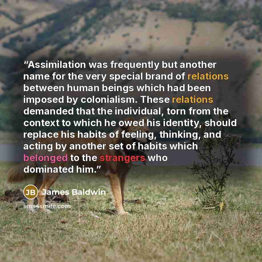 “Assimilation was frequently but another name for the very special brand of relations between human beings which had been imposed by colonialism. These relations demanded that the individual, torn from the context to which he owed his identity, should replace his habits of feeling, thinking, and…” quote by James Baldwin