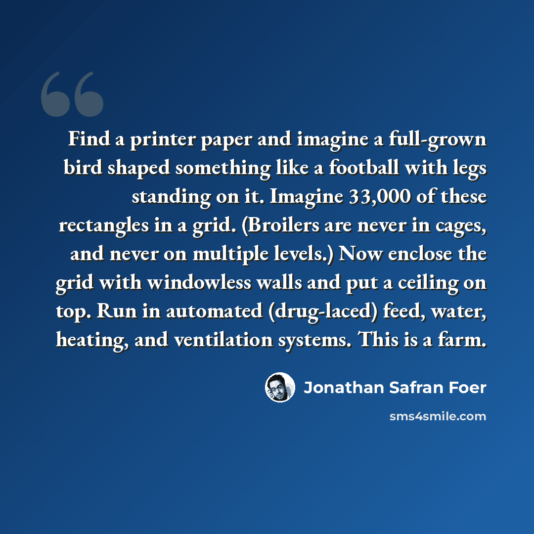 “Find a printer paper and imagine a full-grown bird shaped something like a football with legs standing on it. Imagine 33,000 of these rectangles in a grid. (Broilers are never in cages, and never on multiple levels.) Now enclose the grid with windowless walls and put a ceiling on top. Run in…” quote by Jonathan Safran Foer