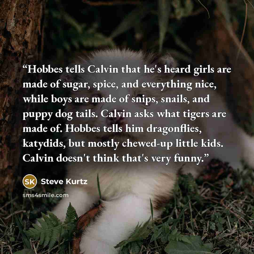 “Hobbes tells Calvin that he's heard girls are made of sugar, spice, and everything nice, while boys are made of snips, snails, and puppy dog tails. Calvin asks what tigers are made of. Hobbes tells him dragonflies, katydids, but mostly chewed-up little kids. Calvin doesn't think that's very funny.” quote by Steve Kurtz