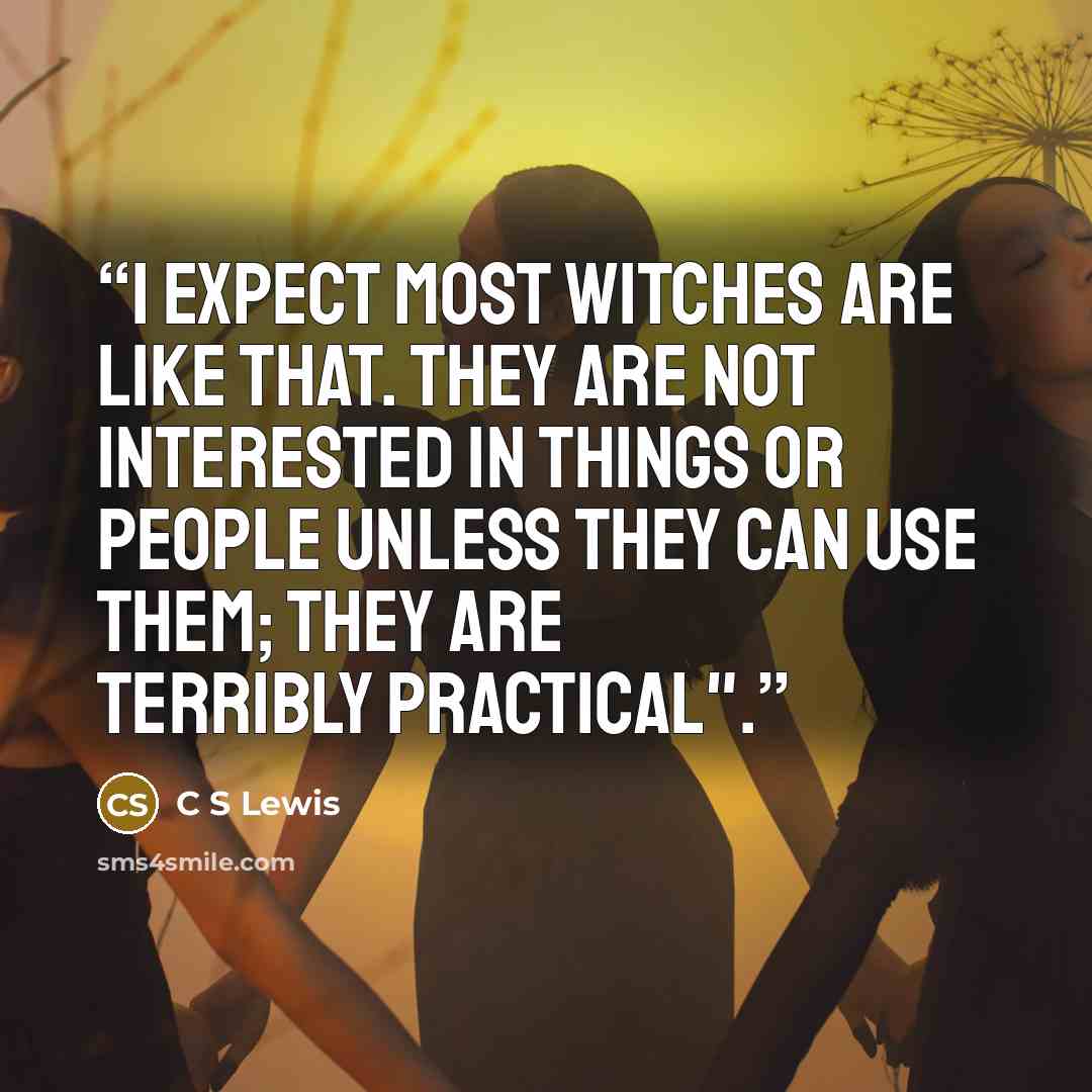 “I expect most witches are like that. They are not interested in things or people unless they can use them; they are terribly practical".” quote by C S Lewis