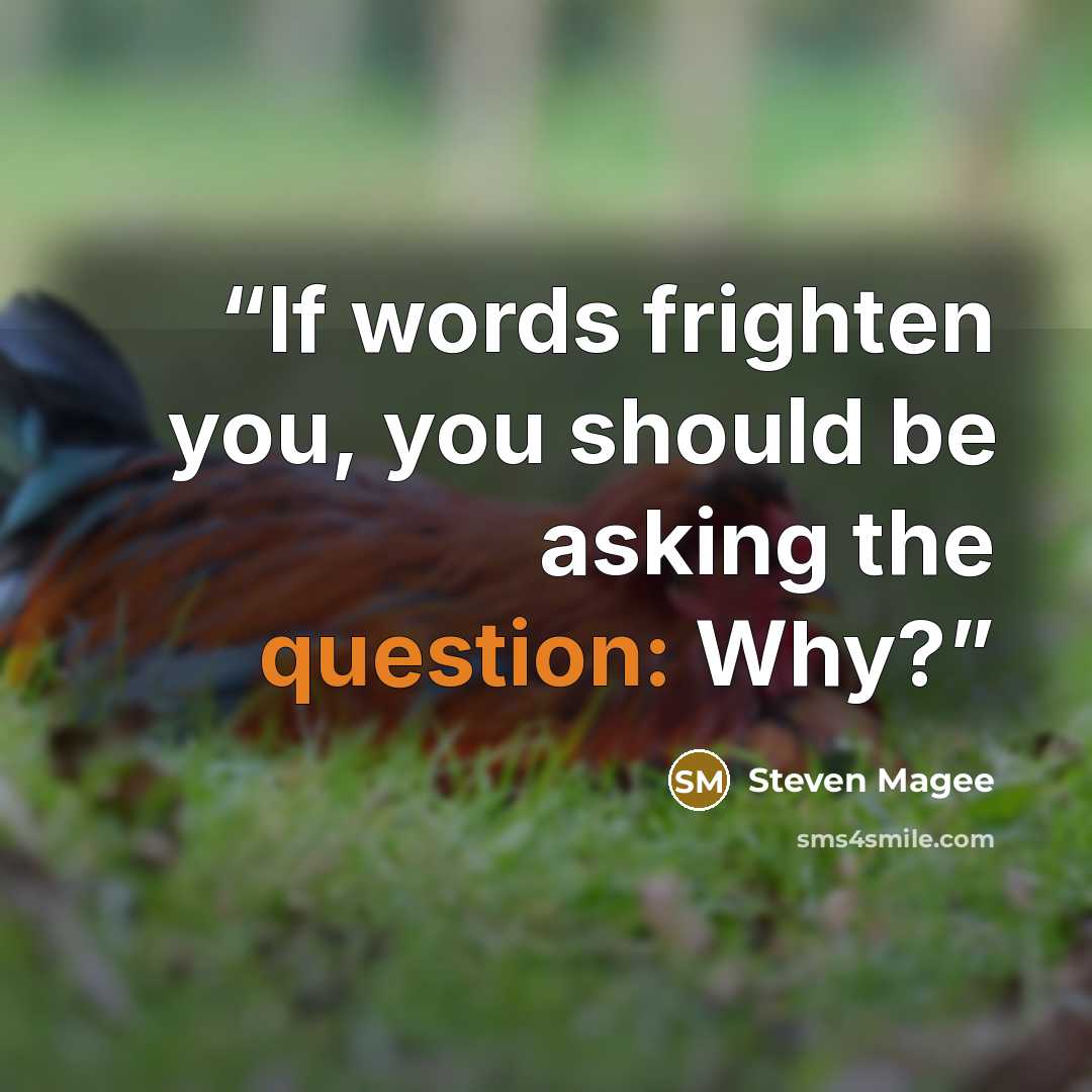 “If words frighten you, you should be asking the question: Why?” quote by Steven Magee