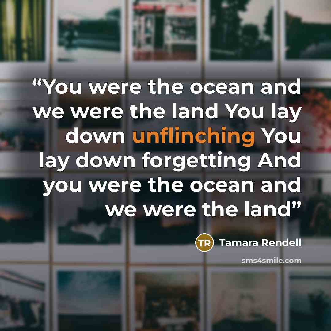 “You were the ocean and we were the land You lay down unflinching You lay down forgetting And you were the ocean and we were the land” quote by Tamara Rendell