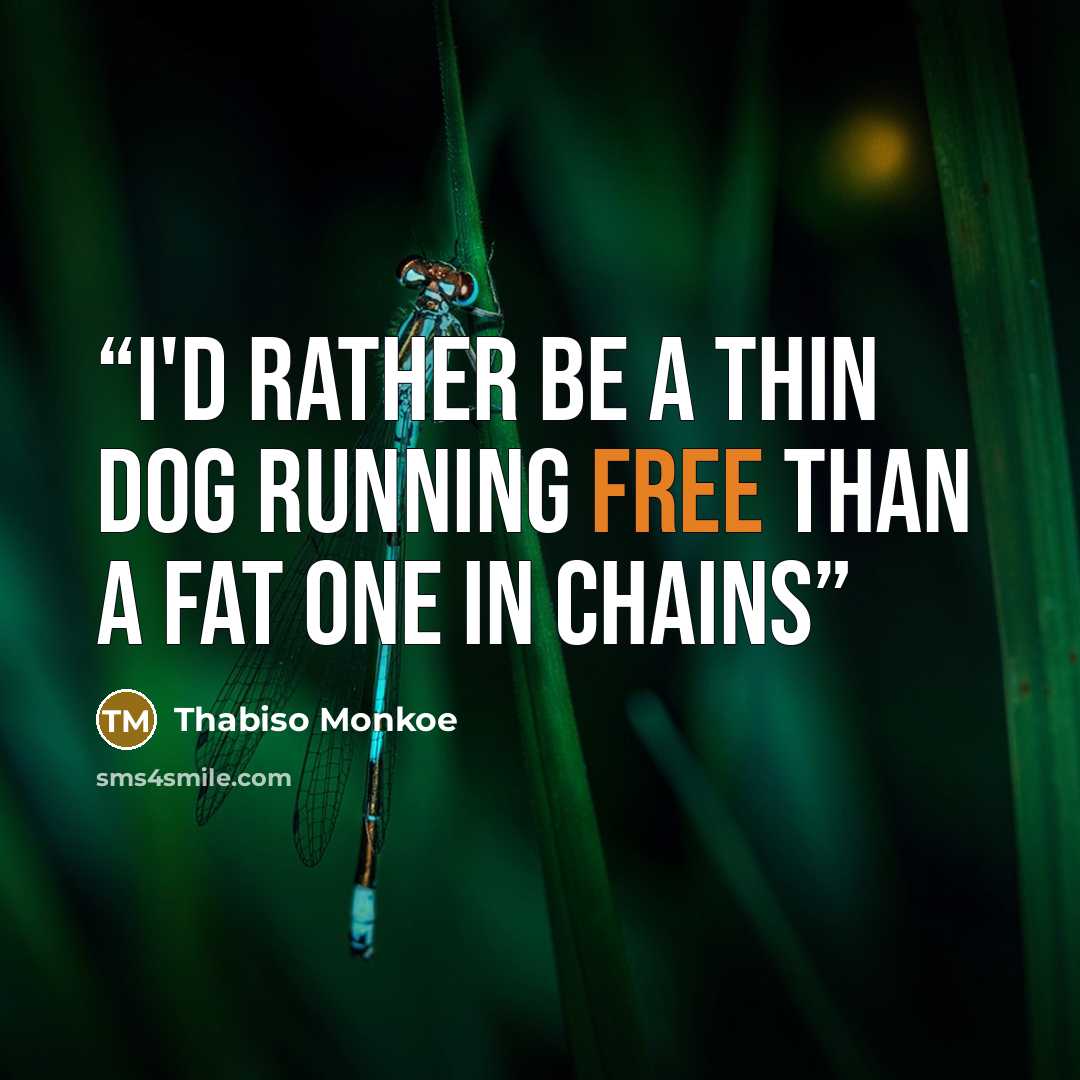 “I'd rather be a thin dog running free than a fat one in chains” quote by Thabiso Monkoe