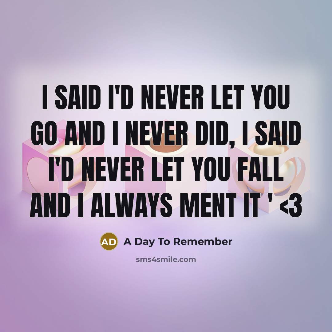 “I Said I'd Never Let You Go And I Never Did, I Said I'd Never Let You Fall And I Always Ment It '” quote by A Day To Remember