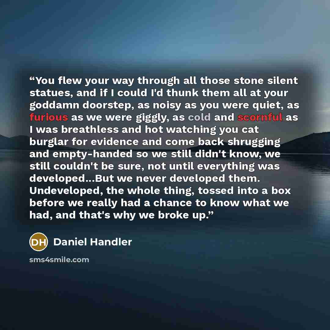 “You flew your way through all those stone silent statues, and if I could I'd thunk them all at your goddamn doorstep, as noisy as you were quiet, as furious as we were giggly, as cold and scornful as I was breathless and hot watching you cat burglar for evidence and come back shrugging and…” quote by Daniel Handler