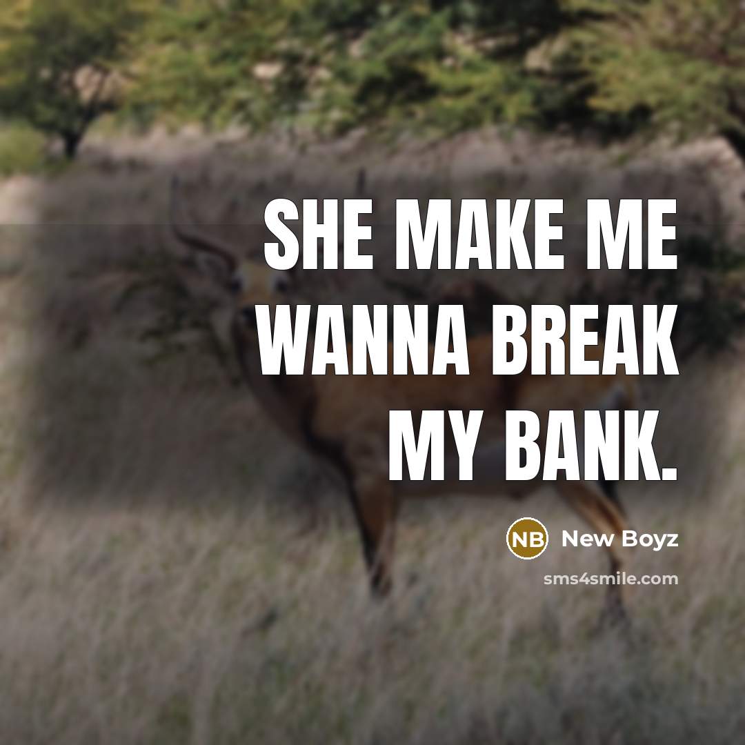 “She make me wanna break my bank.” quote by New Boyz