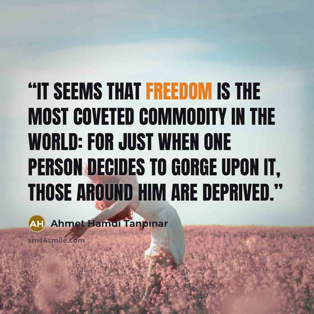 “It seems that freedom is the most coveted commodity in the world: for just when one person decides to gorge upon it, those around him are deprived.” quote by Ahmet Hamdi Tanpınar