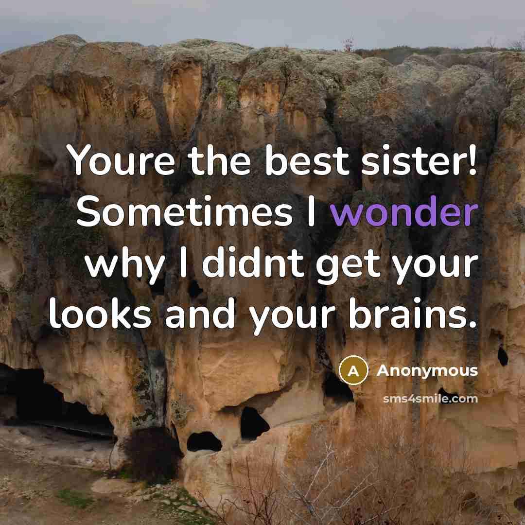 “Youre the best sister! Sometimes I wonder why I didnt get your looks and your brains.” quote by Anonymous