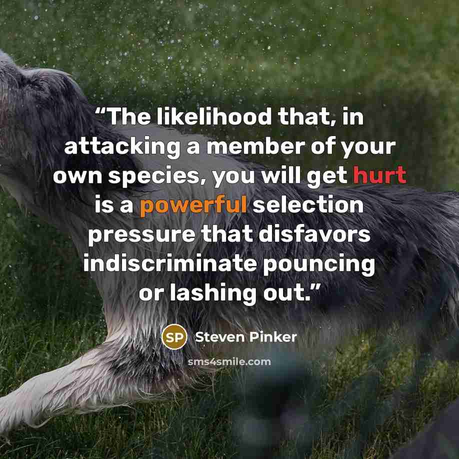 “The likelihood that, in attacking a member of your own species, you will get hurt is a powerful selection pressure that disfavors indiscriminate pouncing or lashing out.” quote by Steven Pinker