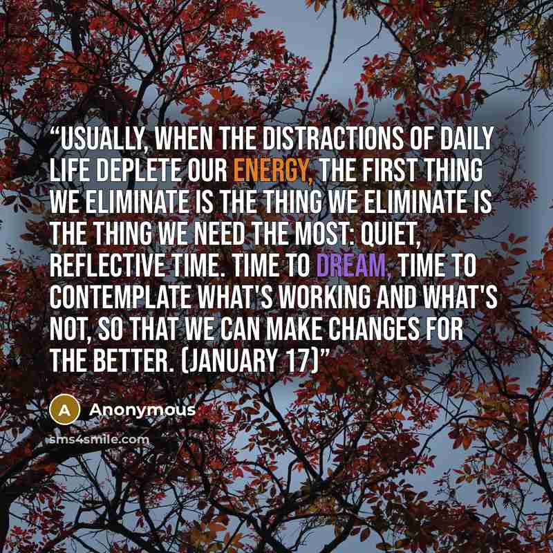 “Usually, when the distractions of daily life deplete our energy, the first thing we eliminate is the thing we eliminate is the thing we need the most: quiet, reflective time. Time to dream, time to contemplate what's working and what's not, so that we can make changes for the better. (January 17)” quote by Anonymous