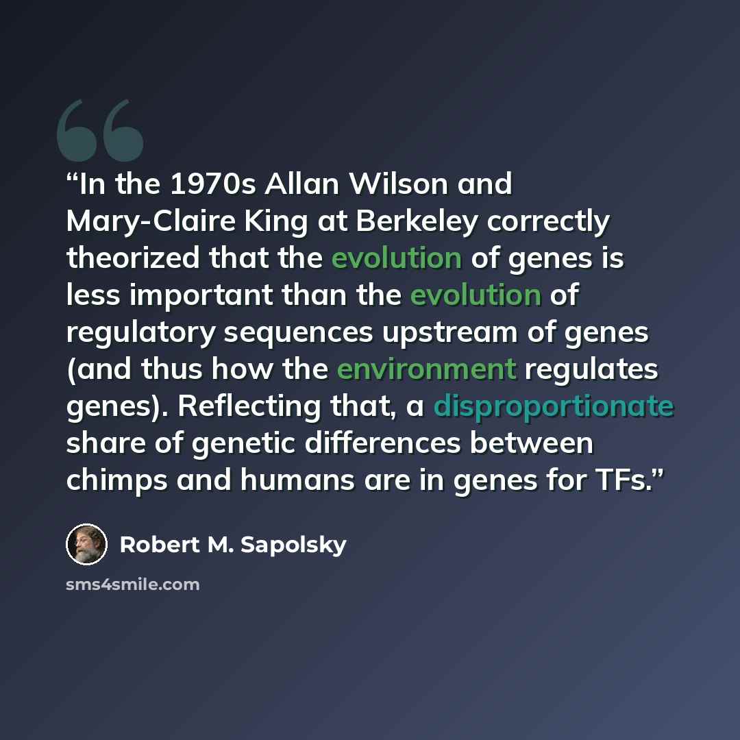“In the 1970s Allan Wilson and Mary-Claire King at Berkeley correctly theorized that the evolution of genes is less important than the evolution of regulatory sequences upstream of genes (and thus how the environment regulates genes). Reflecting that, a disproportionate share of genetic differences…” quote by Robert M. Sapolsky
