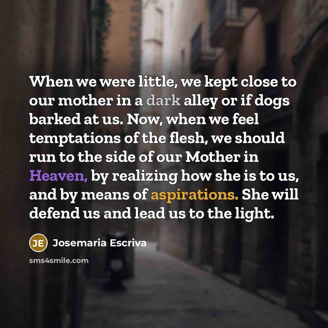 “When we were little, we kept close to our mother in a dark alley or if dogs barked at us. Now, when we feel temptations of the flesh, we should run to the side of our Mother in Heaven, by realizing how she is to us, and by means of aspirations. She will defend us and lead us to the light.” quote by Josemaria Escriva