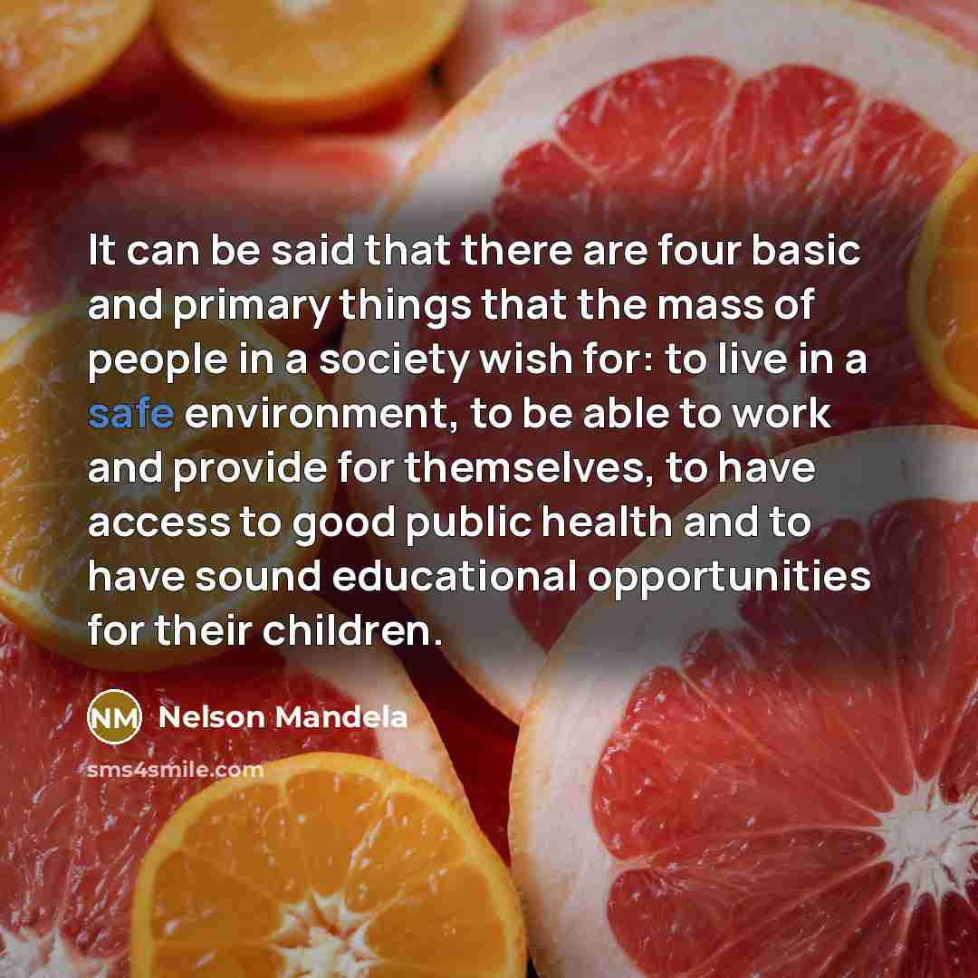 “It can be said that there are four basic and primary things that the mass of people in a society wish for: to live in a safe environment, to be able to work and provide for themselves, to have access to good public health and to have sound educational opportunities for their children.” quote by Nelson Mandela