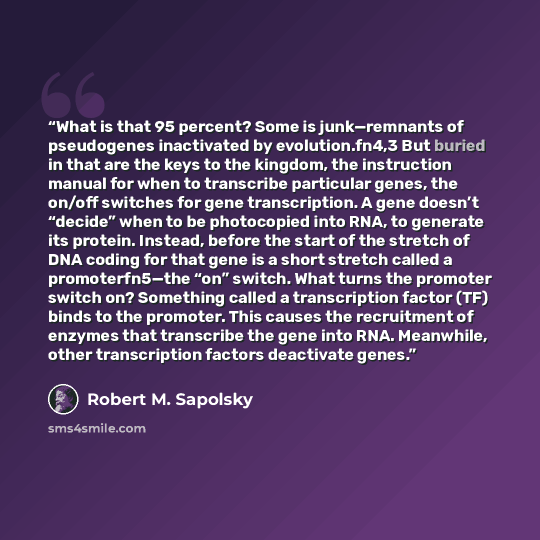 “What is that 95 percent? Some is junk—remnants of pseudogenes inactivated by evolution.fn4,3 But buried in that are the keys to the kingdom, the instruction manual for when to transcribe particular genes, the on/off switches for gene transcription. A gene doesn’t “decide” when to be photocopied…” quote by Robert M. Sapolsky