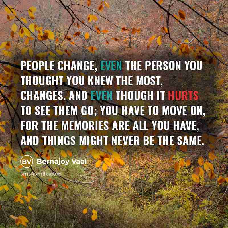 “People change, even the person you thought you knew the most, changes. And even though it hurts to see them go; you have to move on, for the memories are all you have, and things might never be the same.” quote by Bernajoy Vaal