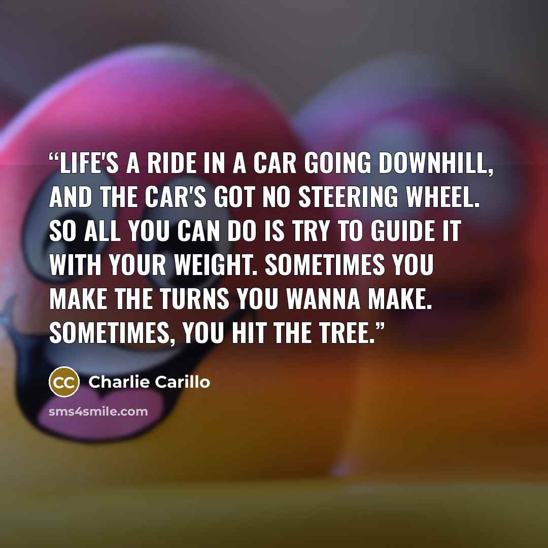 “Life's a ride in a car going downhill, and the car's got no steering wheel. So all you can do is try to guide it with your weight. Sometimes you make the turns you wanna make. Sometimes, you hit the tree.” quote by Charlie Carillo