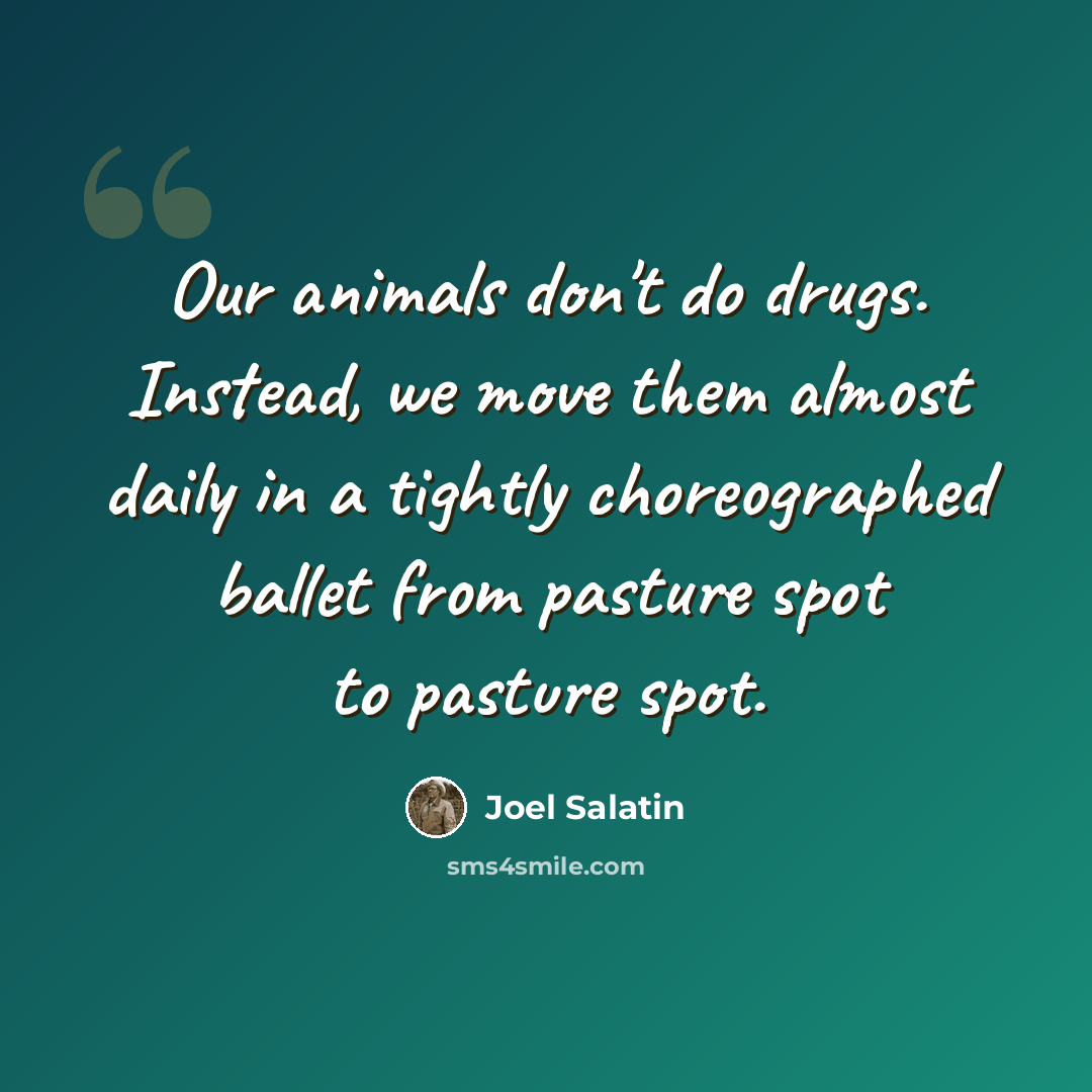 “Our animals don't do drugs. Instead, we move them almost daily in a tightly choreographed ballet from pasture spot to pasture spot.” quote by Joel Salatin