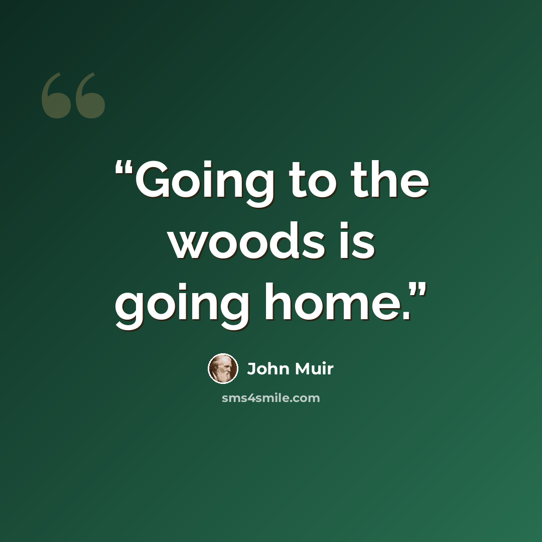 “Going to the woods is going home.” quote by John Muir