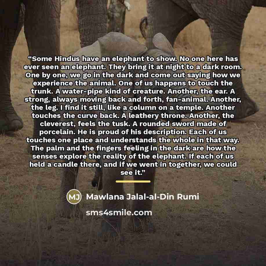 “Some Hindus have an elephant to show. No one here has ever seen an elephant. They bring it at night to a dark room. One by one, we go in the dark and come out saying how we experience the animal. One of us happens to touch the trunk. A water-pipe kind of creature. Another, the ear. A strong…” quote by Mawlana Jalal-al-Din Rumi