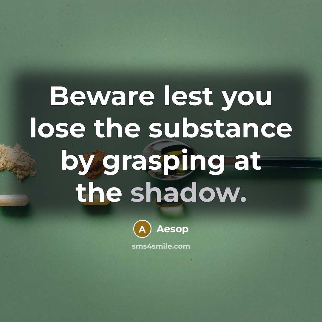 “Beware lest you lose the substance by grasping at the shadow.” quote by Aesop